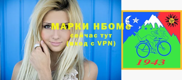 шишки Арсеньев