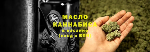 шишки Арсеньев