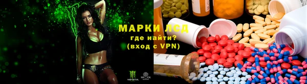 шишки Арсеньев