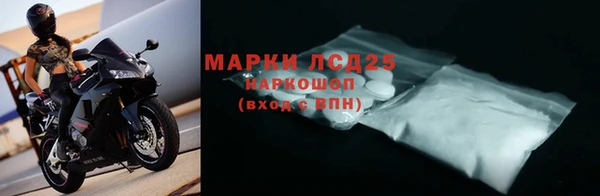 шишки Арсеньев