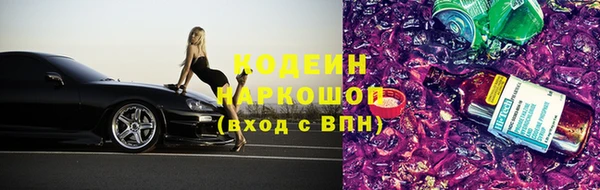 шишки Арсеньев