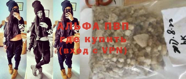 шишки Арсеньев