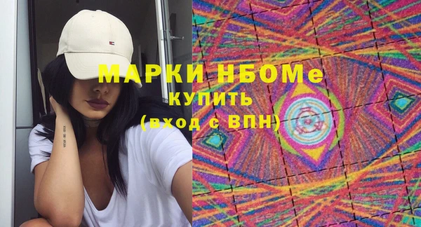 шишки Арсеньев