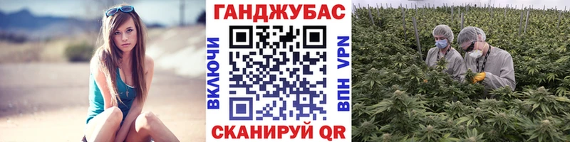 Каннабис Ganja  Купить закладки  Михайловск 